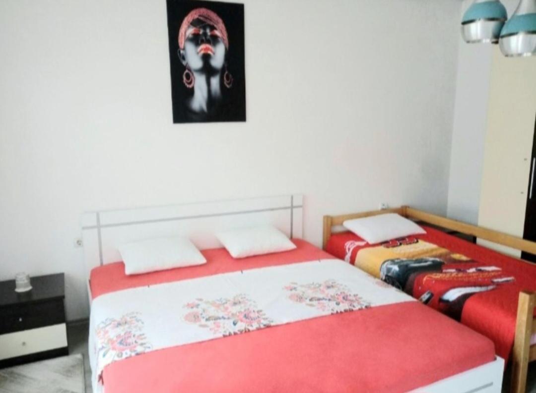 Bus Station Hostel Πέγια Εξωτερικό φωτογραφία